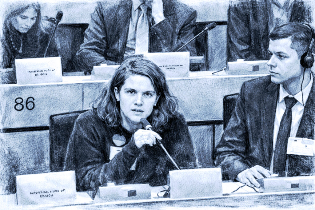 Виступ в Комітеті з питань безпеки та оборони (SEDE), (Брюсель, Бельгія, січень 2026)