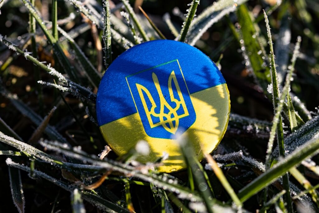 a blue and yellow frisbee sitting in the grass